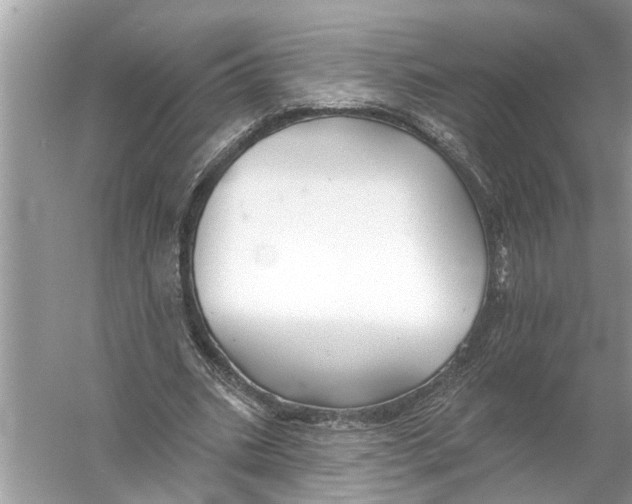 X0000055990535200509162254