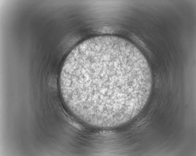 X0000055990537200509162254