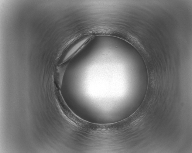 X0000055990538200509162254