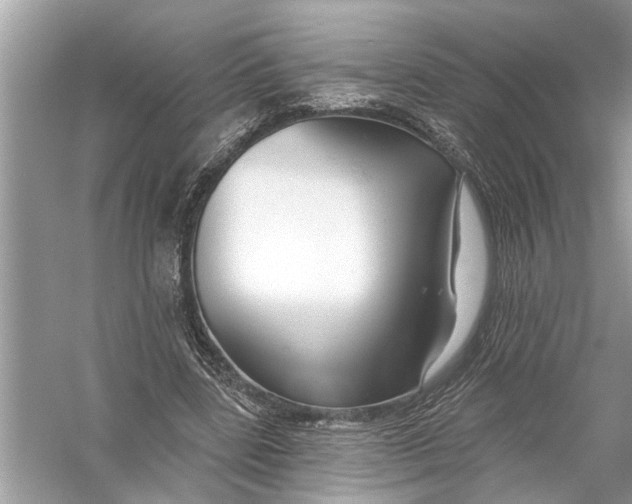 X0000055990539200509162254