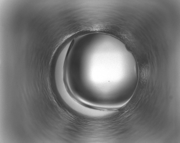 X0000055990540200509162254