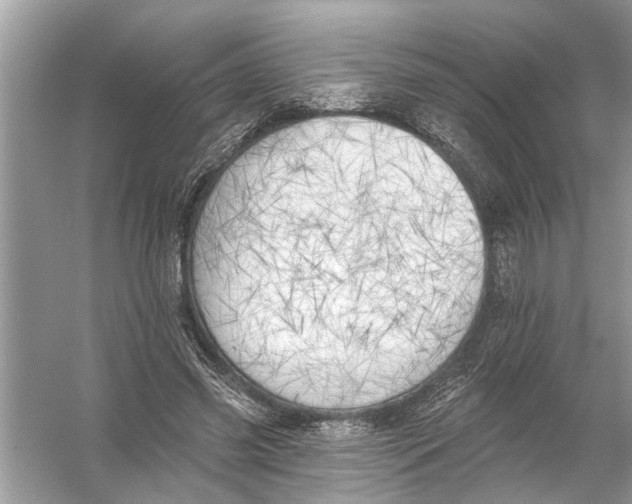 X0000055990541200509162254