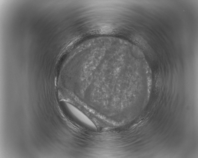 X0000055990542200509162254