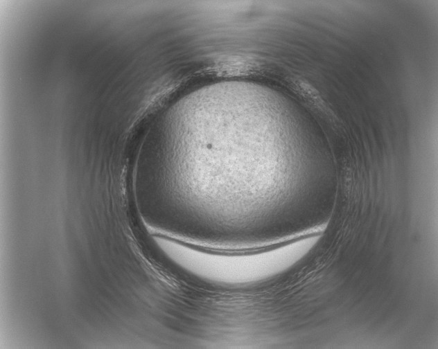 X0000055990543200509162254