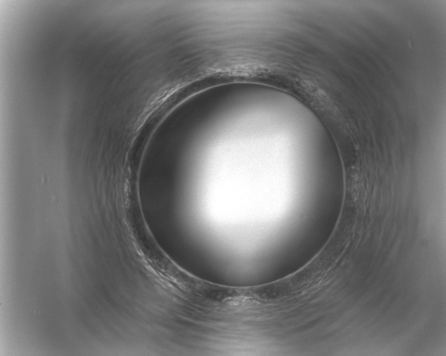 X0000055990544200509162254