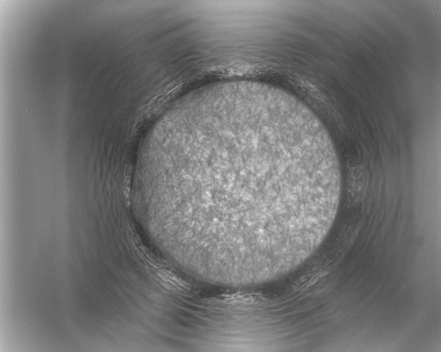 X0000055990545200509162254