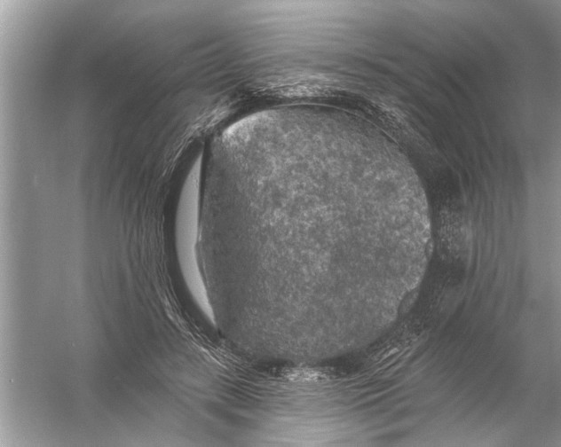 X0000055990547200509162254