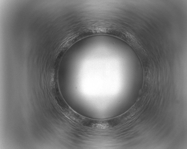 X0000055990548200509162254