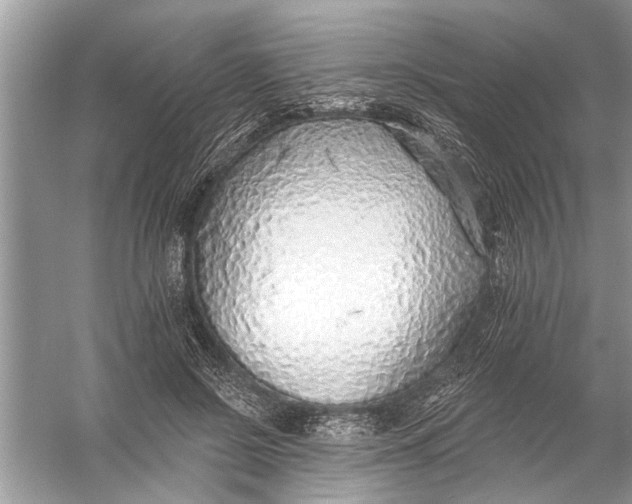 X0000055990550200509162254