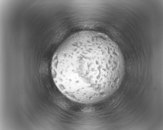 X0000055990551200509162254