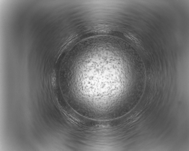 X0000055990552200509162254