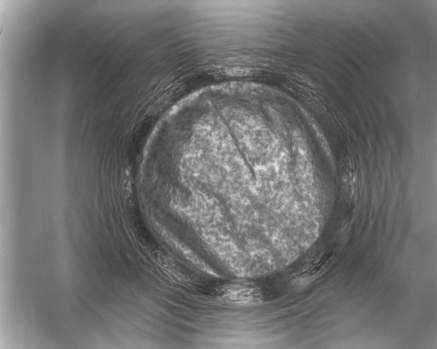 X0000055990555200509162254