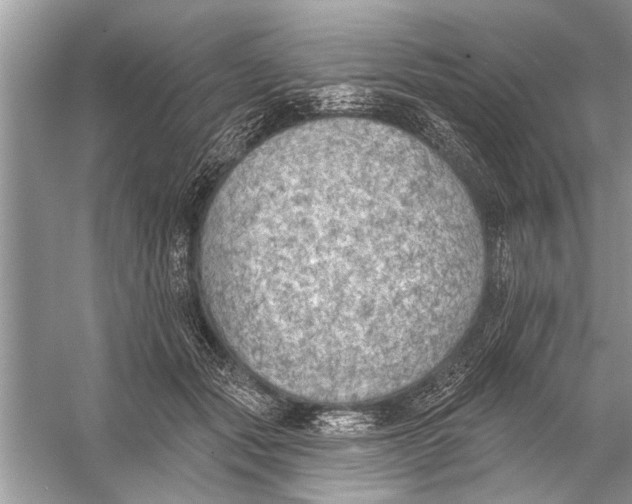 X0000055990557200509162254