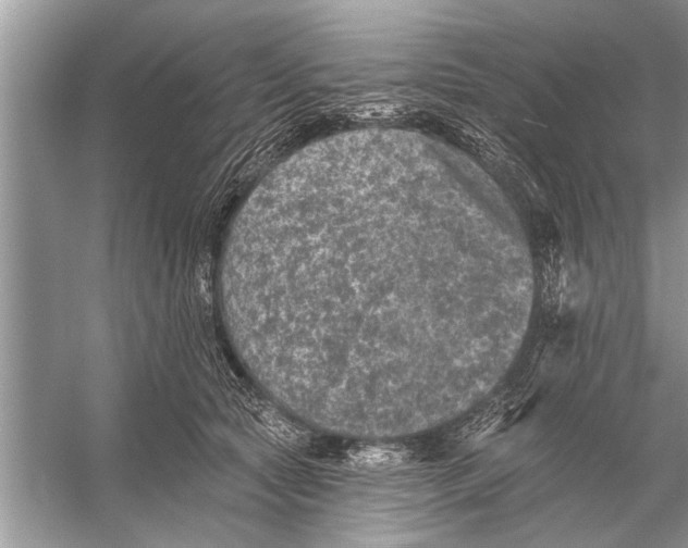 X0000055990561200509162254