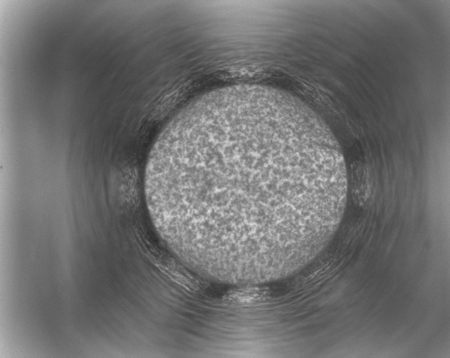 X0000055990563200509162254