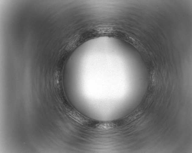 X0000055990567200509162254