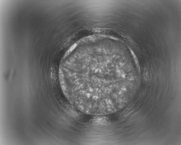 X0000055990569200509162254