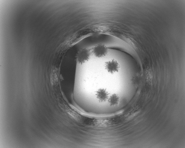 X0000055990570200509162254