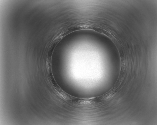 X0000055990572200509162255