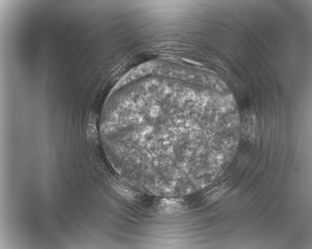 X0000055990573200509162255