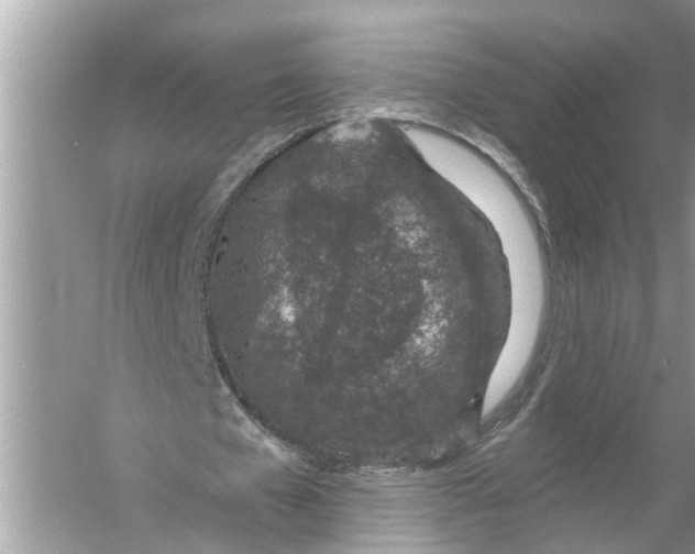 X0000055990577200509162254