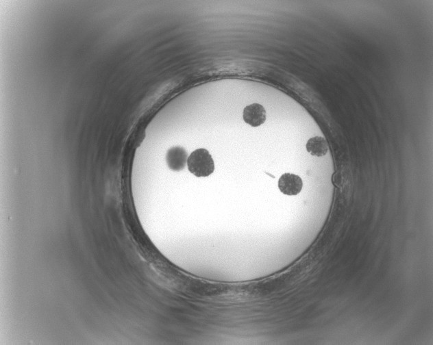 X0000055990578200509162254