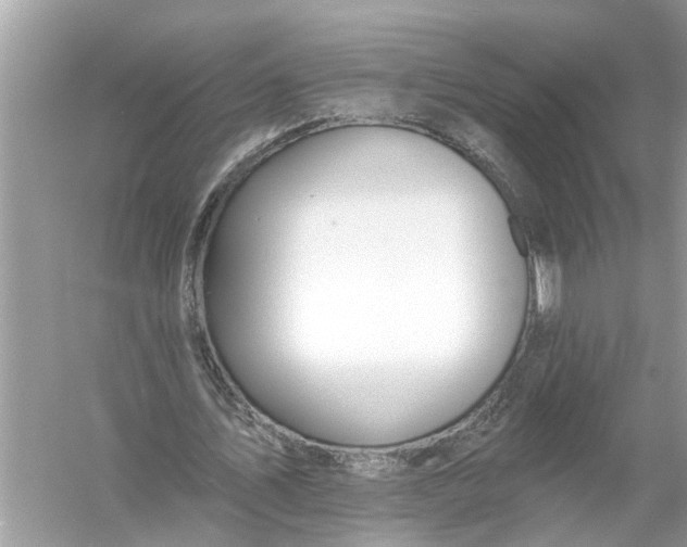 X0000055990579200509162254