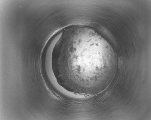 X0000055990580200509162254