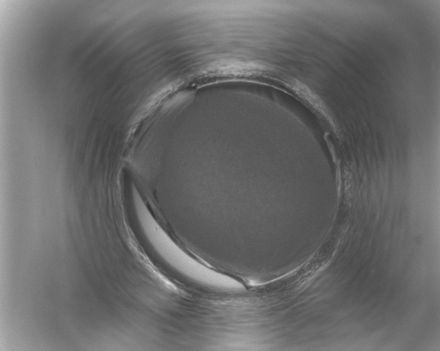 X0000055990581200509162254