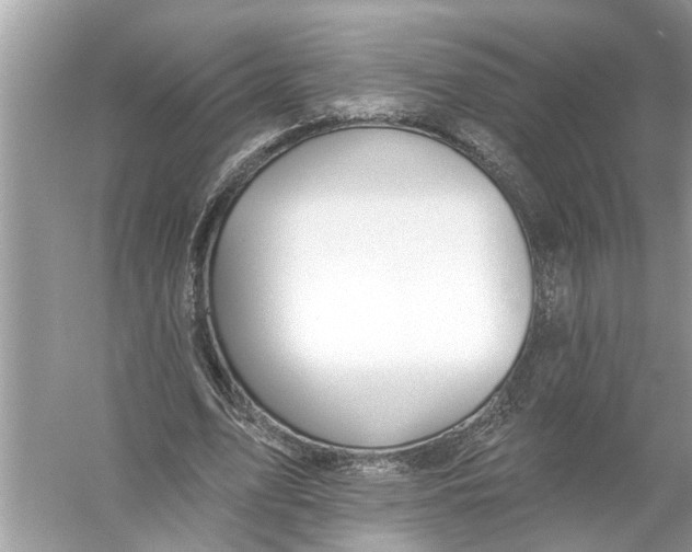 X0000055990583200509162254