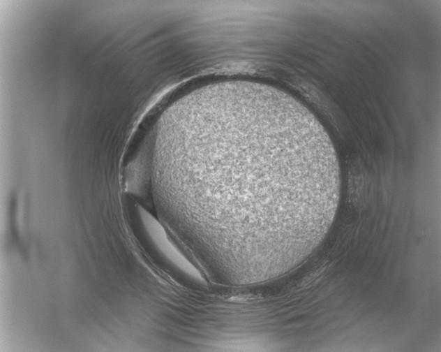 X0000055990584200509162254