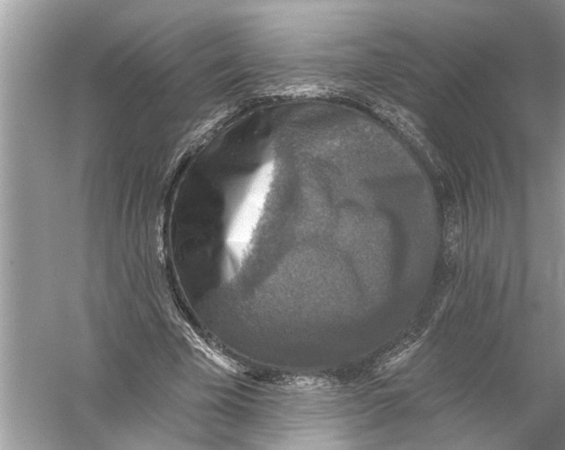 X0000055990585200509162254