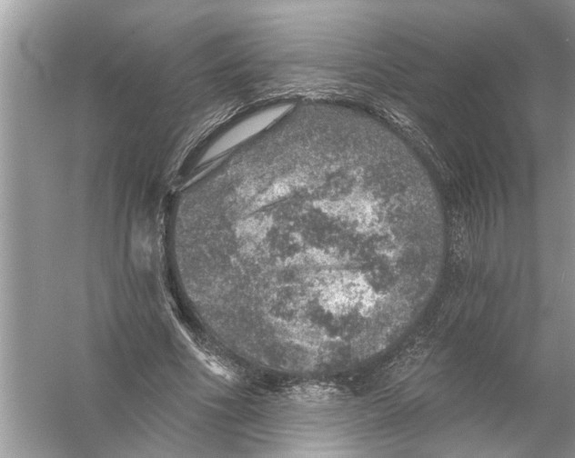 X0000055990586200509162254