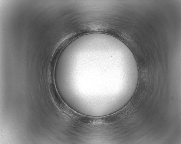 X0000055990587200509162254