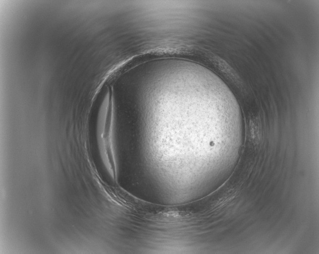 X0000055990588200509162254