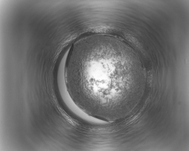 X0000055990589200509162254