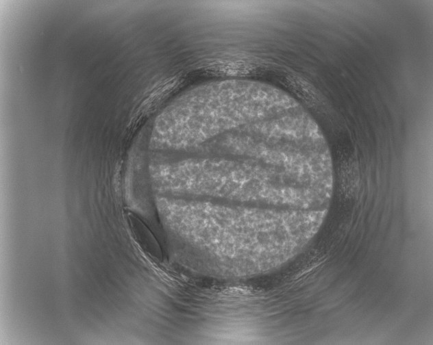 X0000055990594200509162253