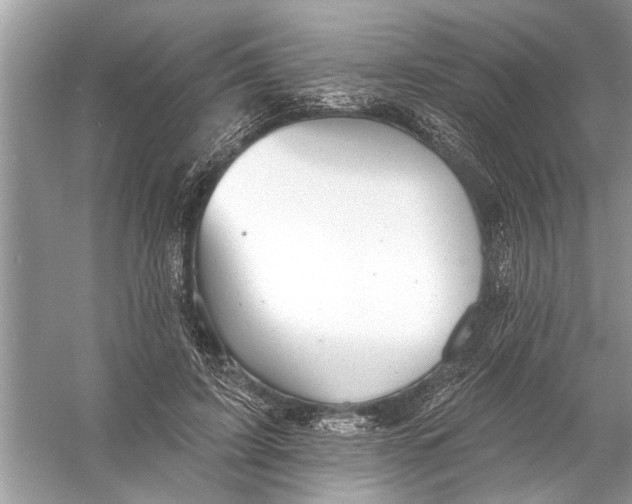 X0000055990595200509162253