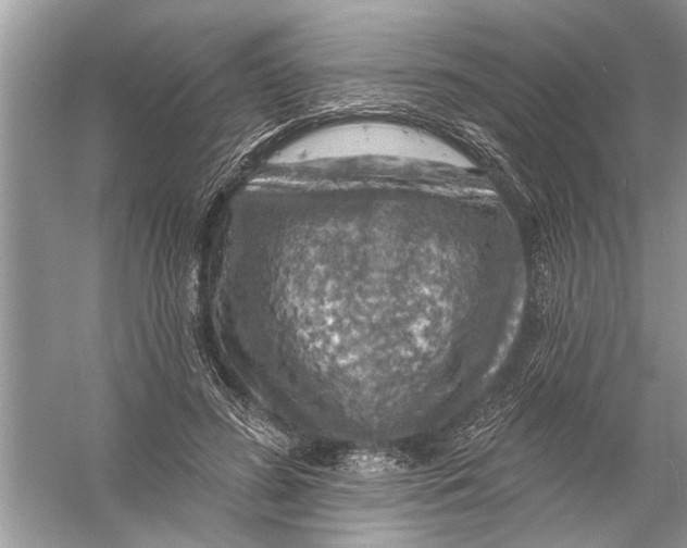 X0000055990596200509162253