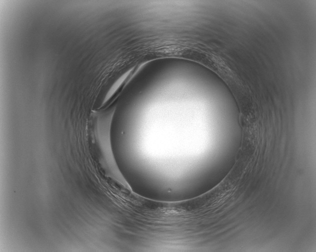 X0000055990597200509162253