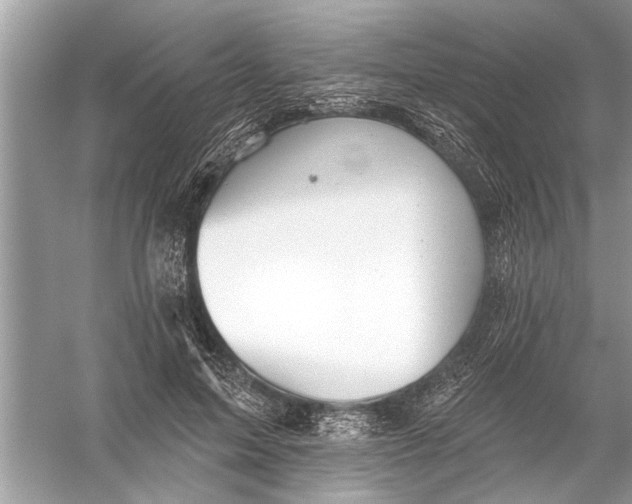 X0000055990599200509162253