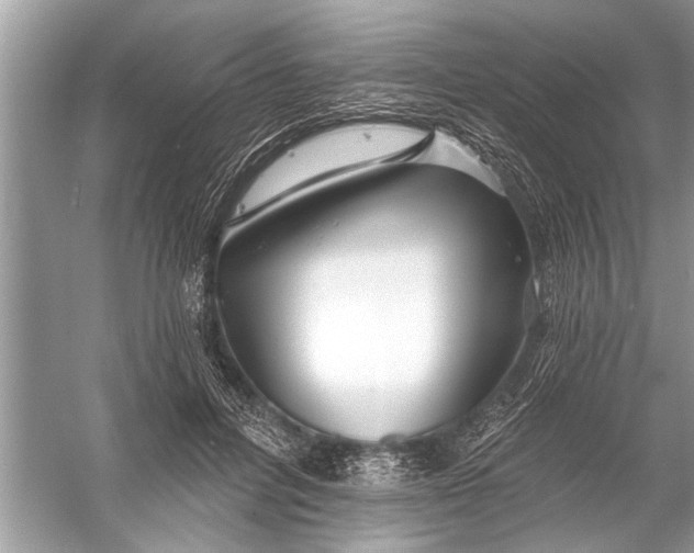 X0000055990600200509162253