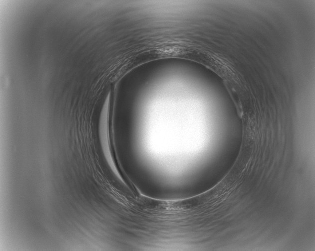 X0000055990601200509162253