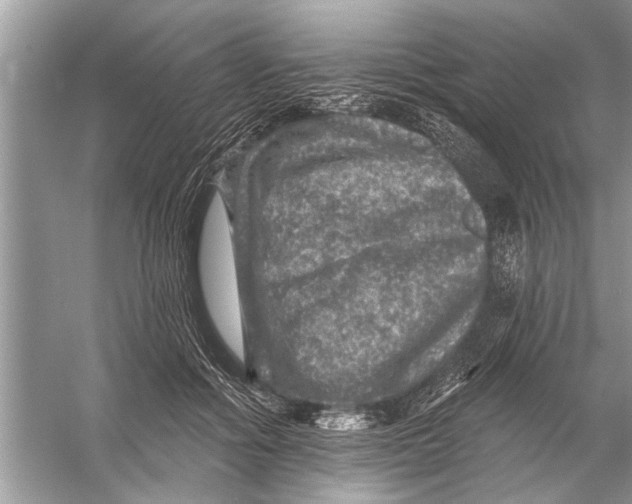 X0000055990602200509162253