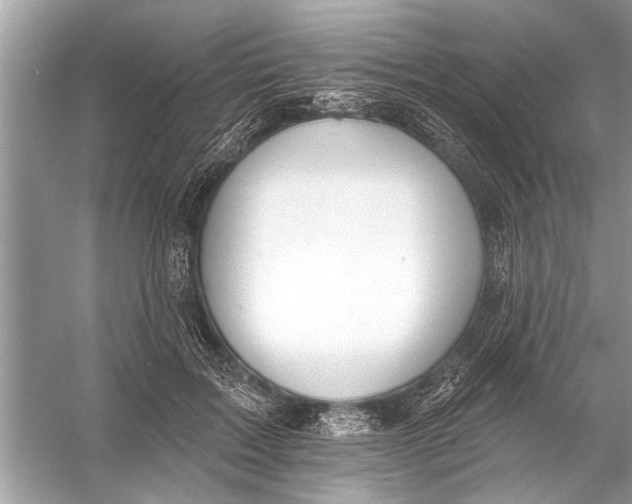 X0000055990603200509162253