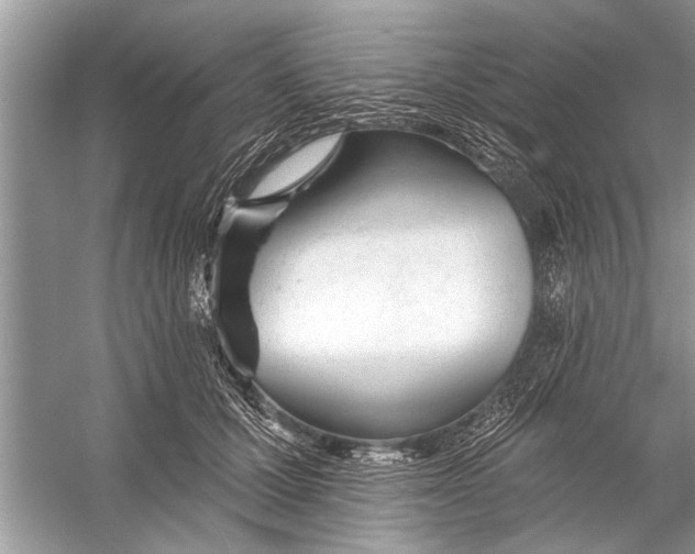 X0000055990607200509162253