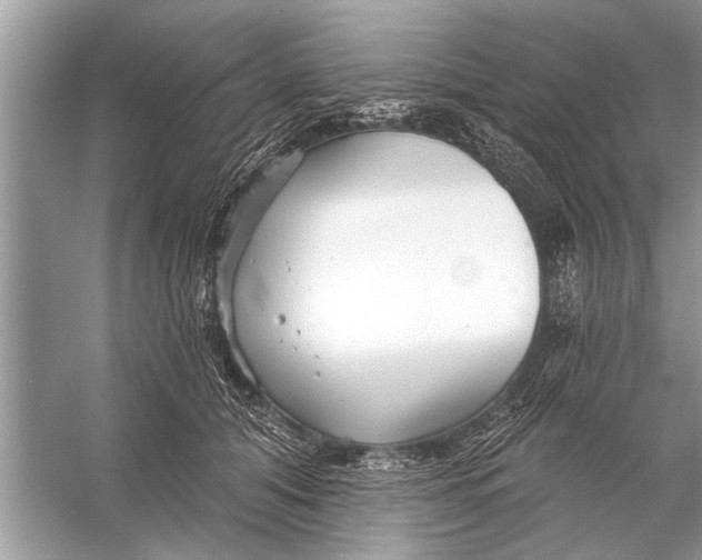 X0000055990608200509162253