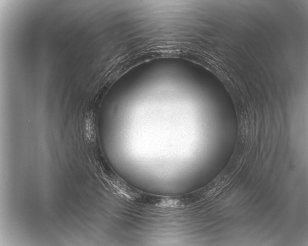 X0000055990609200509162253