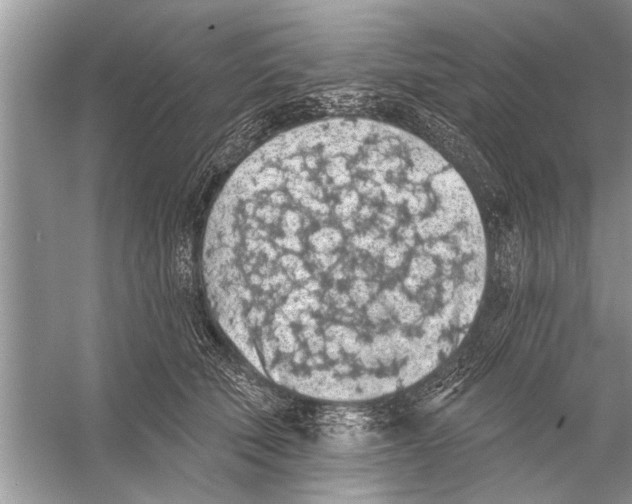 X0000055990610200509162253