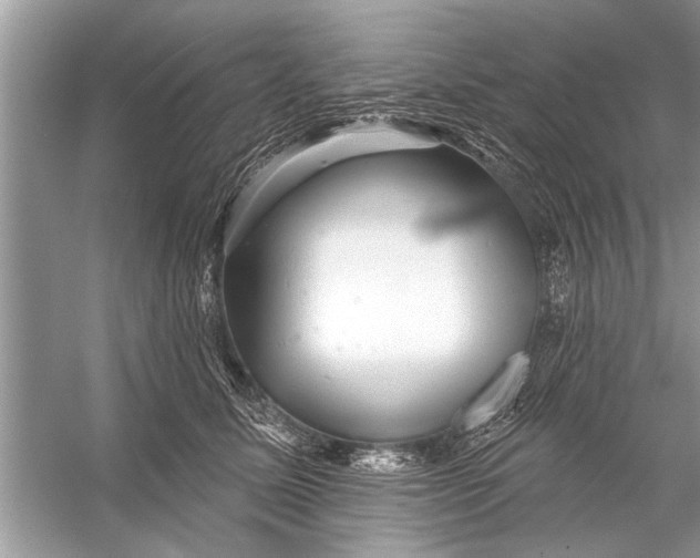 X0000055990611200509162253